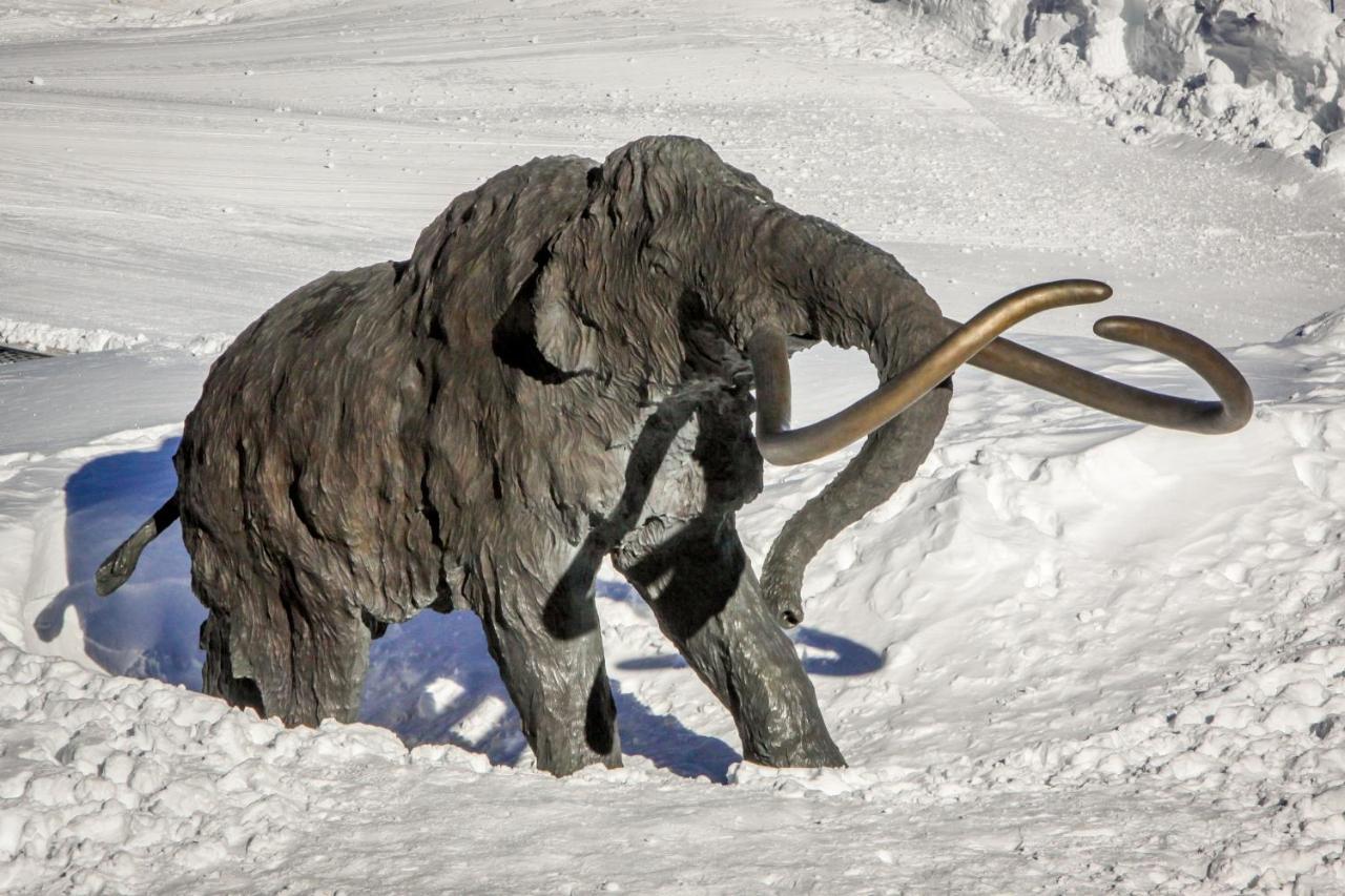 Sierra Megeve Leilighet Mammoth Lakes Eksteriør bilde
